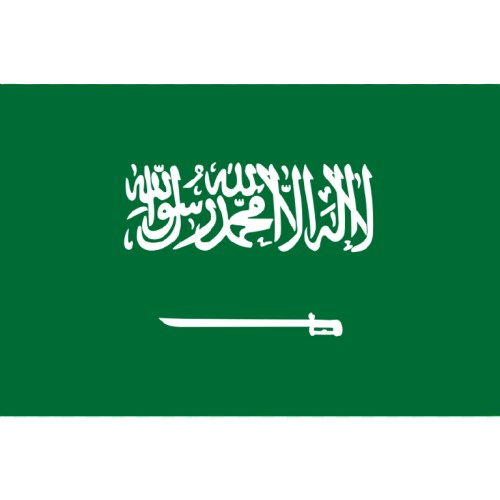 hd saudi arabia national flag png 735811695823231aomu5wleyv removebg preview